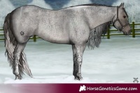 Horse Color:Smoky Grullo Roan Tobiano Brindle 