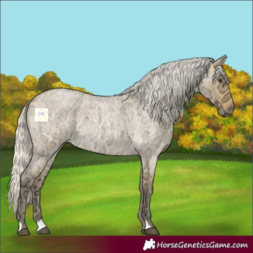 Horse Color:Silver Buckskin Ice Roan Dun 
