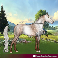 Horse Color:Gray Silver Sable Champagne 
