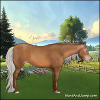 Horse Color:Gray Silver Sable Champagne 