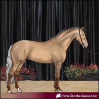 Horse Color:Gray Silver Sable Champagne Dun 