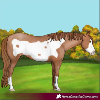 Horse Color:Brown Pearl Frame