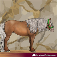 Horse Color:Gray Silver Sable Champagne 