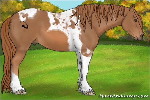 Horse Color:Chestnut Tobiano 