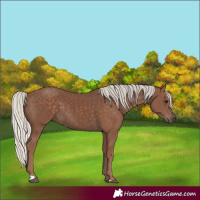 Horse Color:Silver Black 