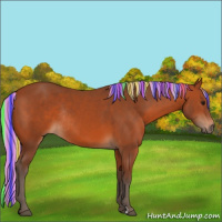 Horse Color:Painted Silver Brown Rabicano 