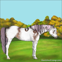 Horse Color:Gray Painted White Spotted Brown 