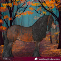 Horse Color:Black and Brown