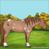 Horse Color:Red Roan Tobiano 