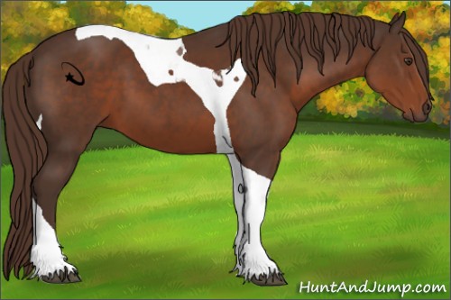 Horse Color:Liver Chestnut Tobiano 