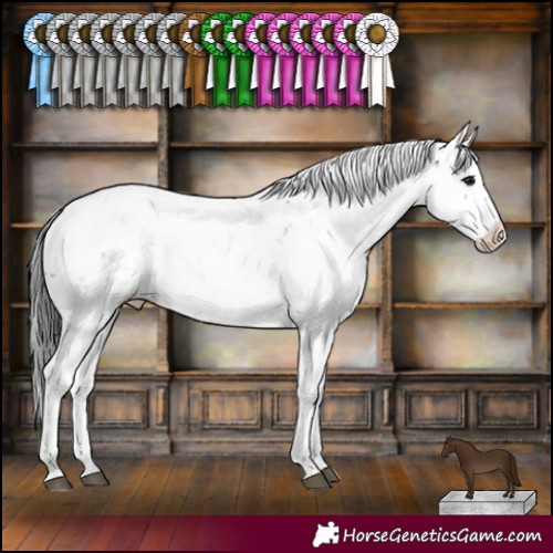 Horse Color:Black Sabino 