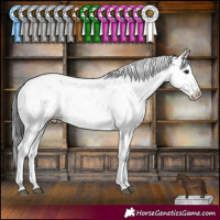 Horse Color:Black Sabino