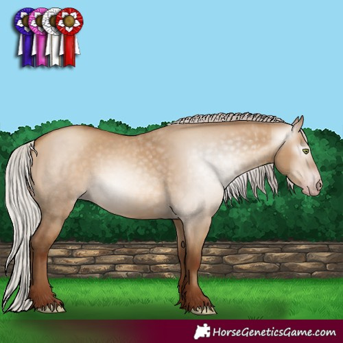 Horse Color:Gray Silver Sable Champagne Dun 