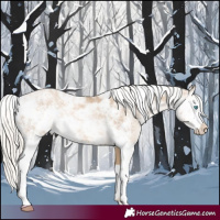 Horse Color:Chocolate Palomino Pearl Sabino