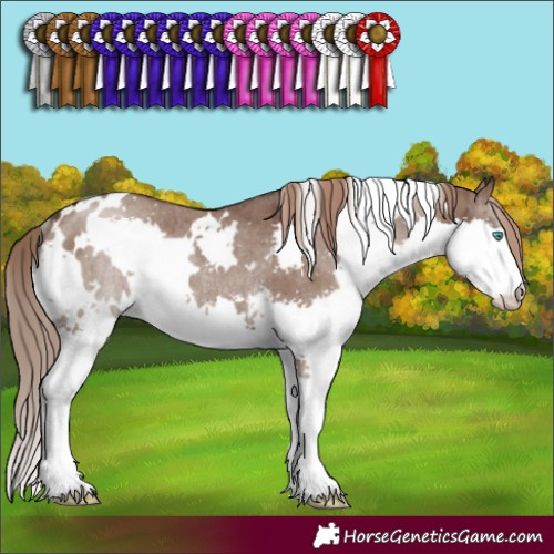 Horse Color:White Spotted Liver Red Dun Splash Rabicano Brindle