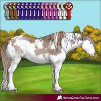 Horse Color:White Spotted Liver Red Dun Splash Rabicano Brindle 