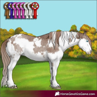 Horse Color:White Spotted Liver Red Dun Splash Rabicano Brindle