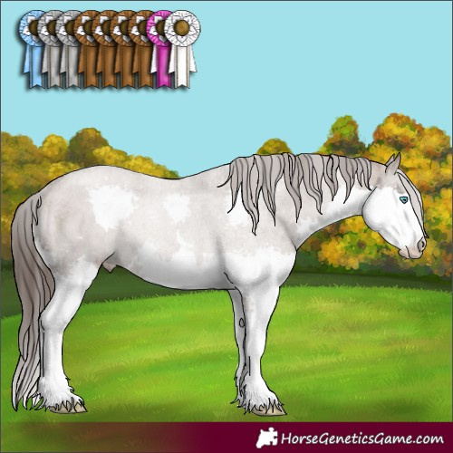 Horse Color:Liver Red Dun Splash Rabicano Brindle