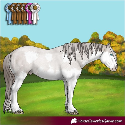 Horse Color:Liver Red Dun Splash Rabicano Brindle 