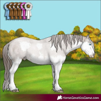 Horse Color:Liver Red Dun Splash Rabicano Brindle