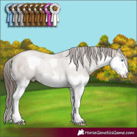 Horse Color:Liver Red Dun Splash Rabicano Brindle 
