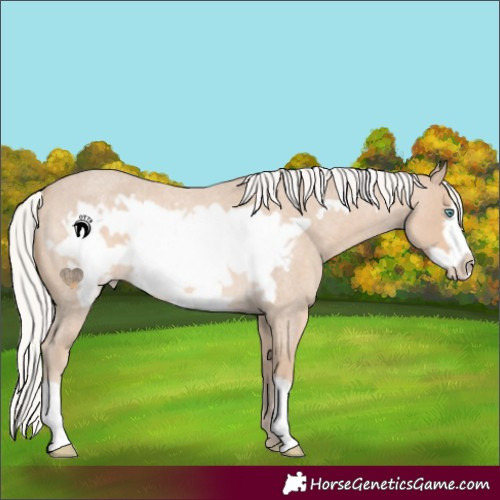 Horse Color:Silver Smoky Creme Roan Frame 