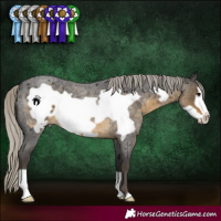 Horse Color:Silver Smoky Blue Roan Frame 