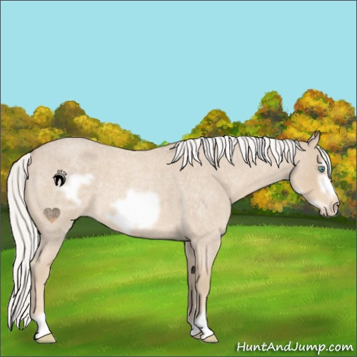 Horse Color:Silver Smoky Creme Roan Frame