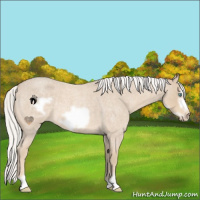 Horse Color:Silver Smoky Creme Roan Frame 