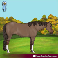 Horse Color:Liver Red Dun 