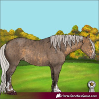 Horse Color:Silver Buckskin Sabino Rabicano  and Silver Grullo Sabino Rabicano 