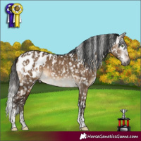 Horse Color:Gray Silver Brown Dun Mushroom Tobiano Appaloosa Rabicano Brindle  and Gray Brown Dun Tobiano Appaloosa Rabicano 
