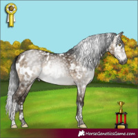 Horse Color:Gray Brown Dun Sabino Tobiano Near Leopard Rabicano Brindle  and Gray Brown Dun Tobiano Rabicano 