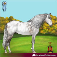 Horse Color:Gray Brown Dun Mushroom Sabino Tobiano Appaloosa Rabicano Brindle  and Gray Silver Brown Dun Mushroom Tobiano Appaloosa Rabicano 