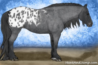 Horse Color:Blue Roan Blanket 