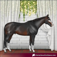Horse Color:Brown 