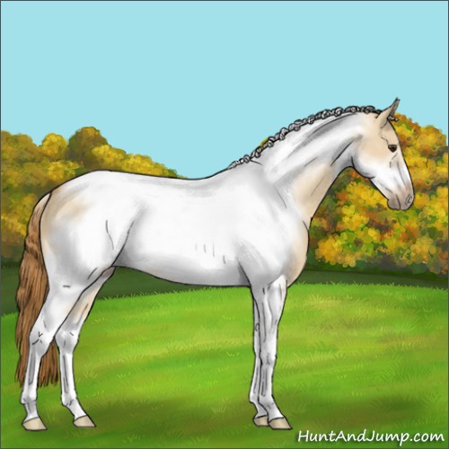 Horse Color:Red Dun Tobiano Frame 