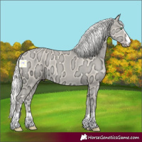 Horse Color:Silver Amber Cream Champagne Ice 