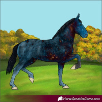 Horse Color:ERROR: UNKNOWN ANOMALY
