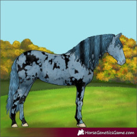 Horse Color:ERROR: UNKNOWN ANOMALY