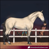 Horse Color:Buckskin 