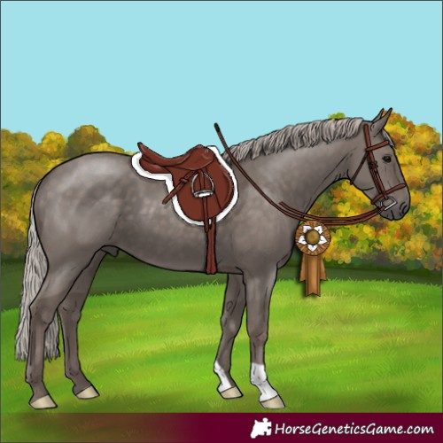 Horse Color:Silver Black 