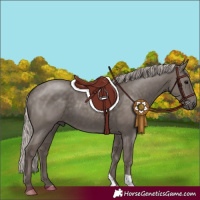 Horse Color:Silver Black 