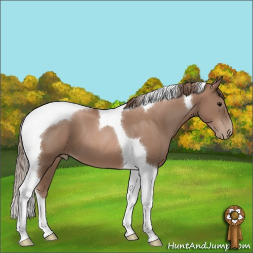 Horse Color:Black Pearl Tobiano 
