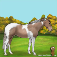 Horse Color:Black Pearl Tobiano 