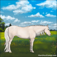 Horse Color:Gold Cream Champagne Pearl 