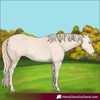 Horse Color:Perlino 