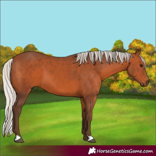 Horse Color:Silver Brown