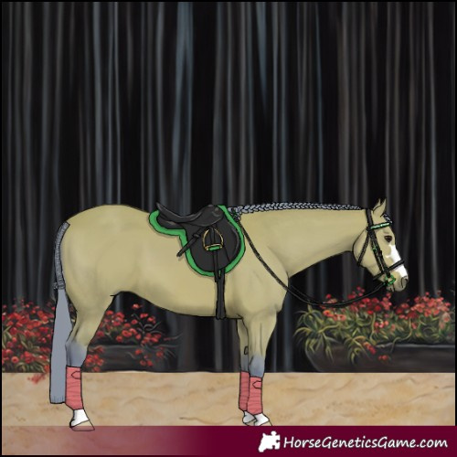 Horse Color:Watercolor Bay 