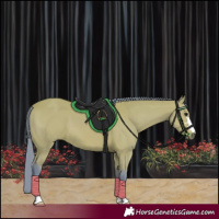 Horse Color:Watercolor Bay 